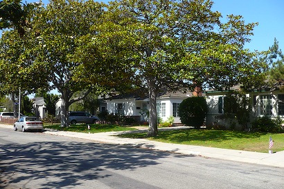 P1060260