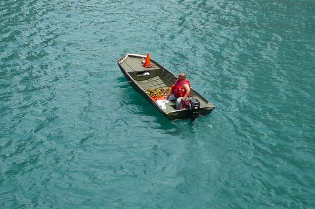 Loading Image