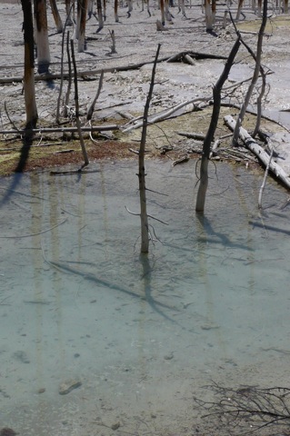Loading Image