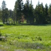 P1070015.JPG
